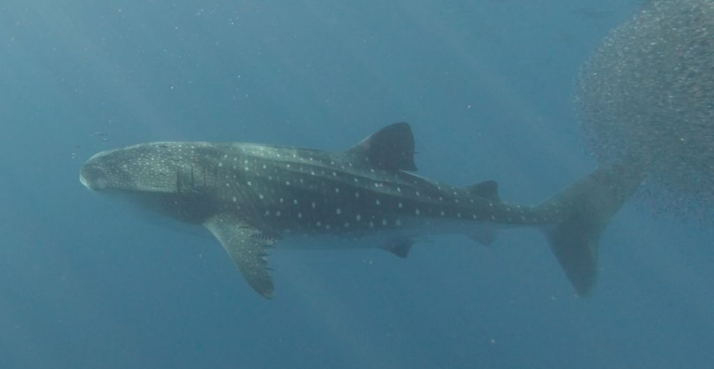 3d1ad150-1273-4376-a990-0674fc9ff09a