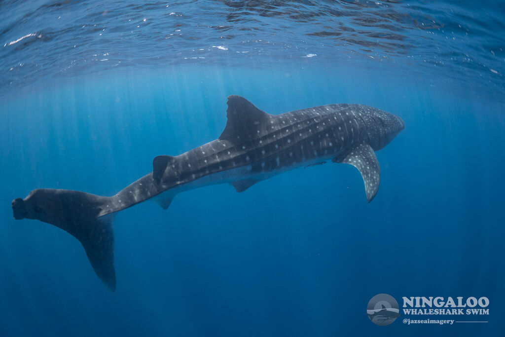 aac5d2b1-69b3-4141-b512-e91b5ce613f0