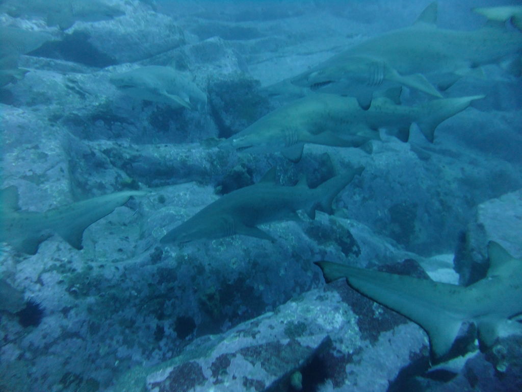 9cbd9a04-0693-4d0d-a3d5-e9f1690fcfa8