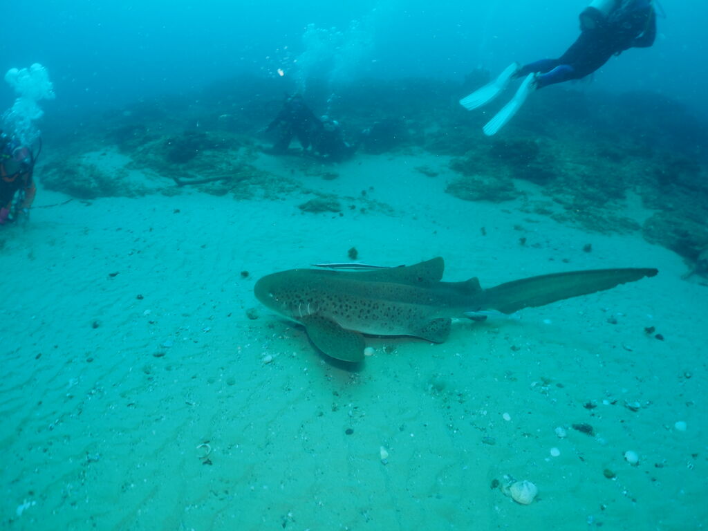 8b3db0aa-32e3-4308-889d-ee8ff9bbf7df