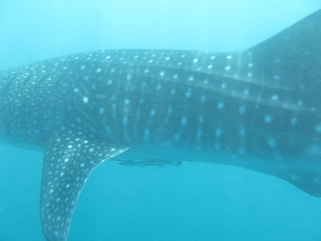 363e499d-0b3c-4c0b-bc2d-70bbe7e17b64