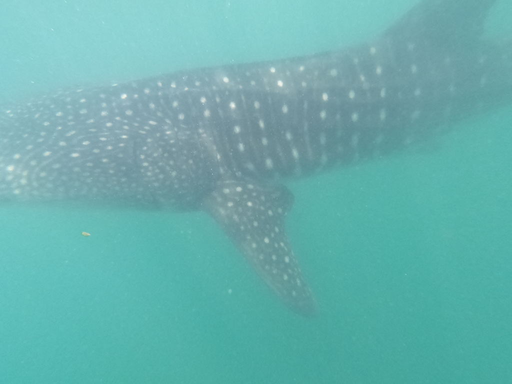 5173c695-5b62-4988-97f4-1f8d2e149721