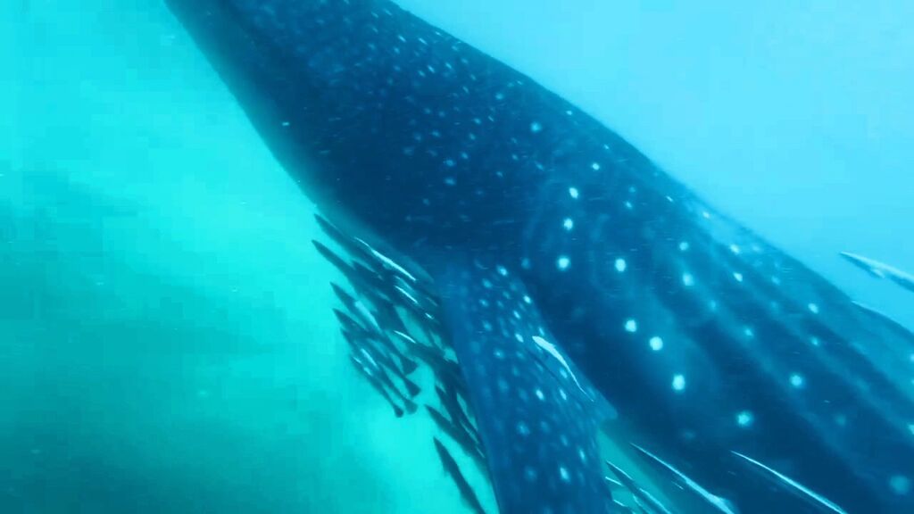 b2a6a114-95f5-417a-b511-50f3a3c9afdc