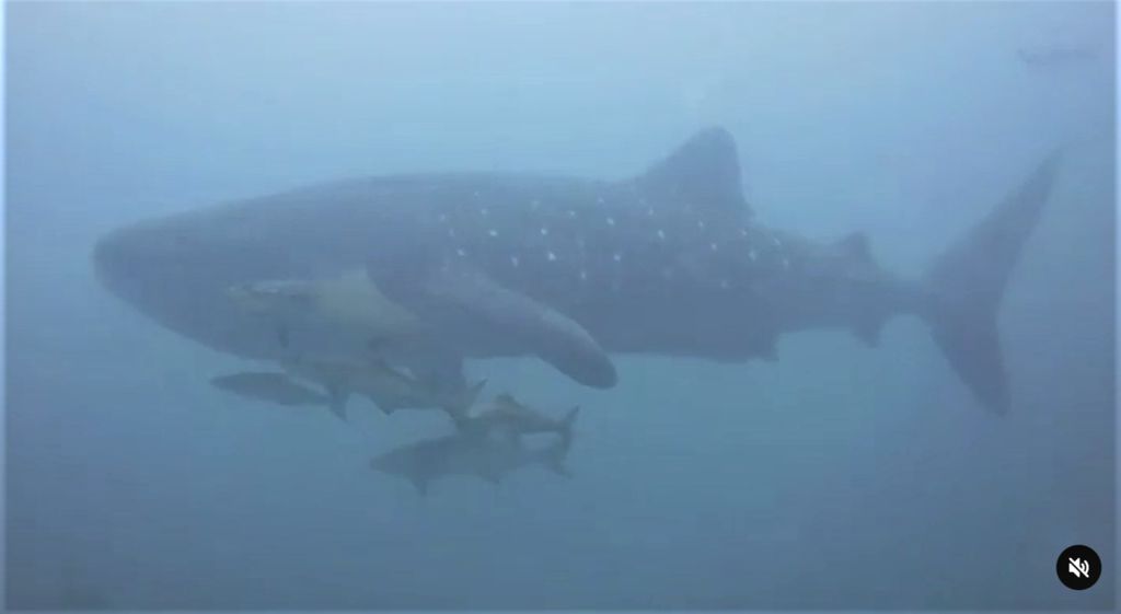 b49a59a7-a702-4db9-9b2e-cd4c66d8e740