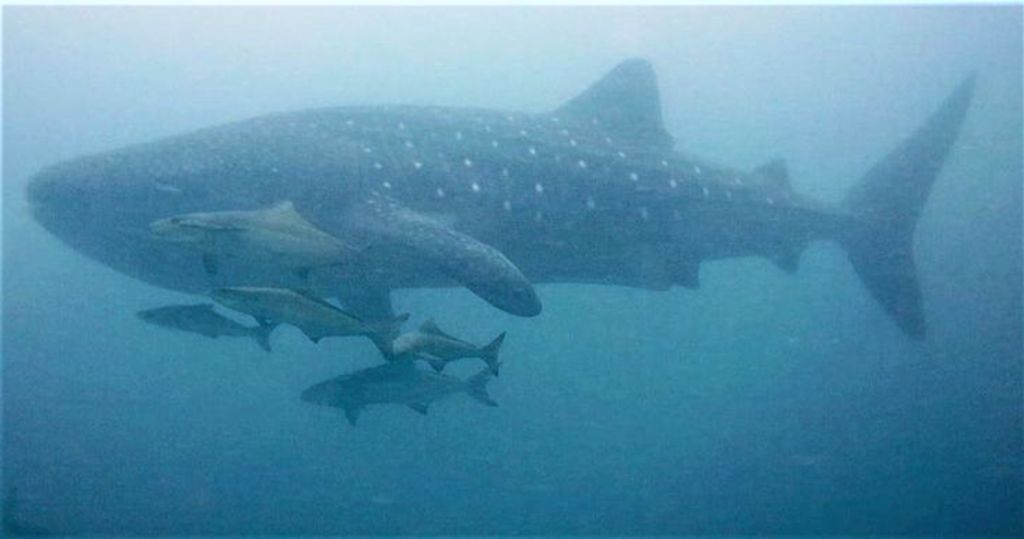 b49a59a7-a702-4db9-9b2e-cd4c66d8e740