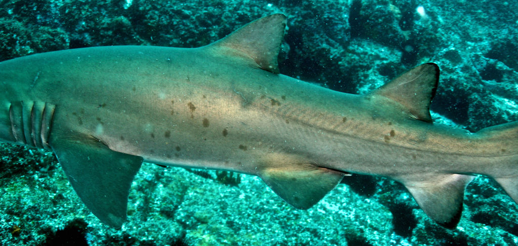 ddaa806c-740f-419d-a366-e228c07199ee