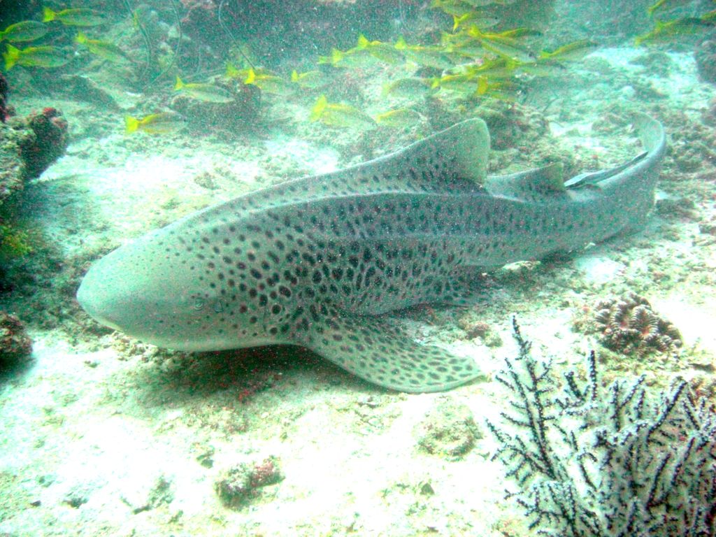 79a2935a-450f-40f3-85c4-7567fbf7b0a0