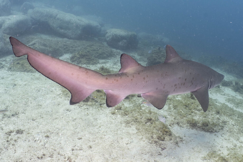 576b41e2-41dc-489d-8a64-5ecec65d719f