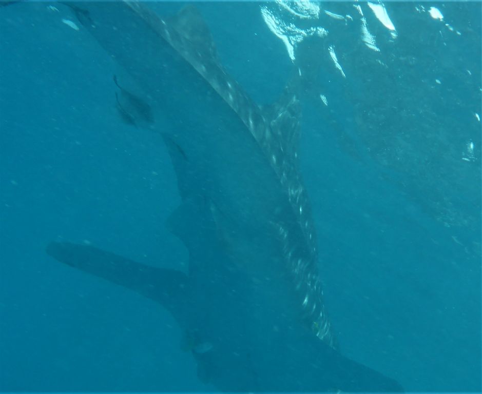 797d55ea-5634-4251-b64e-d3ab8909bf97