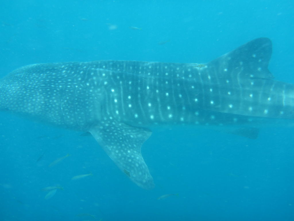 797d55ea-5634-4251-b64e-d3ab8909bf97