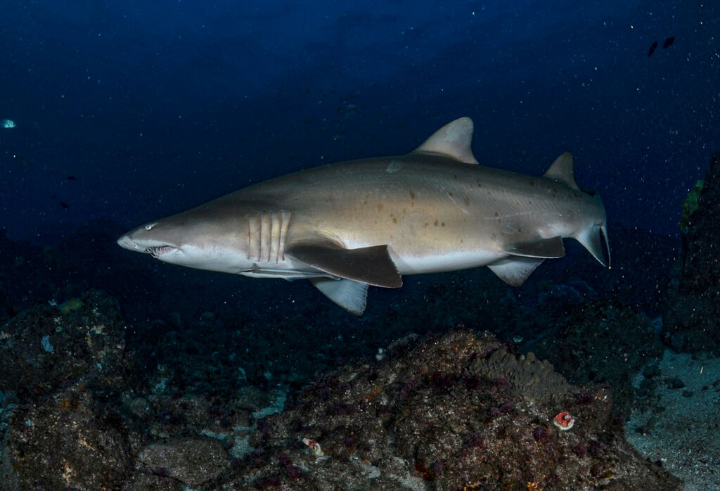 cc24b159-a5d9-491a-b326-75db4611f3d4