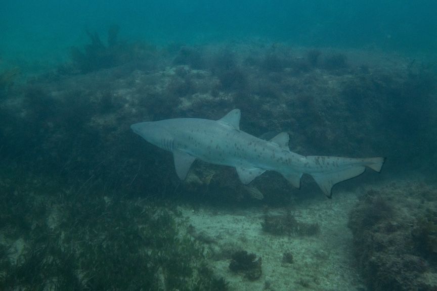 0f09175f-d01c-4b93-954d-6f53f5f5afb4