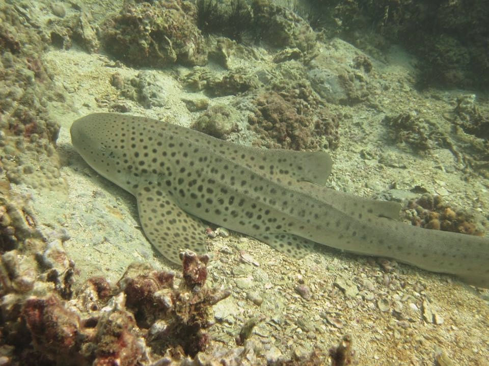 fe4aeac2-89ae-458a-9e30-052c4a5a808c