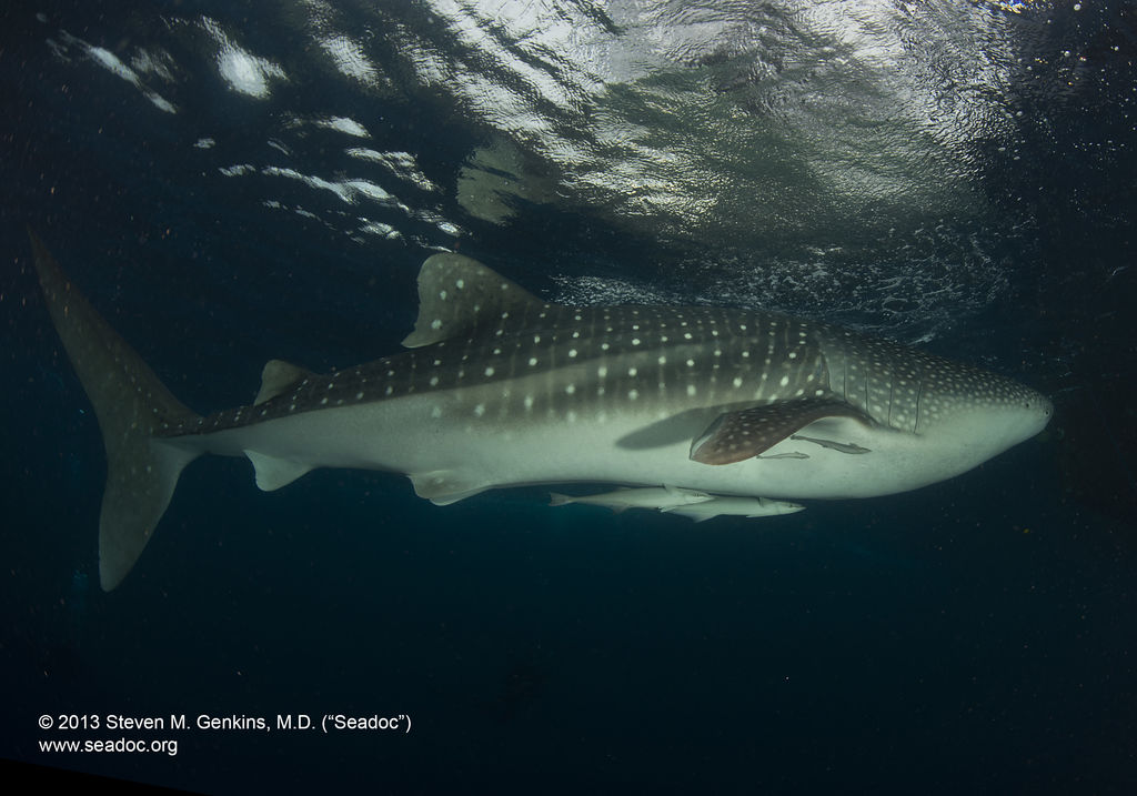 664c370c-d517-415b-815c-dd371232b478