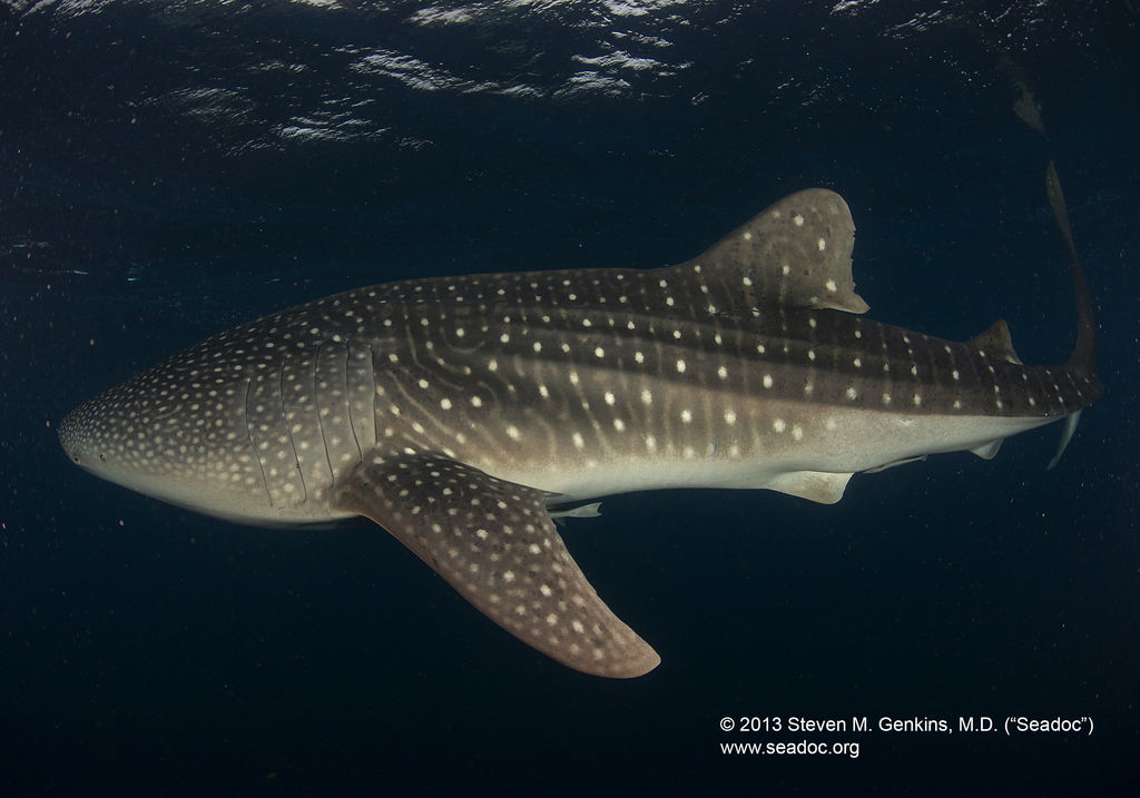 664c370c-d517-415b-815c-dd371232b478