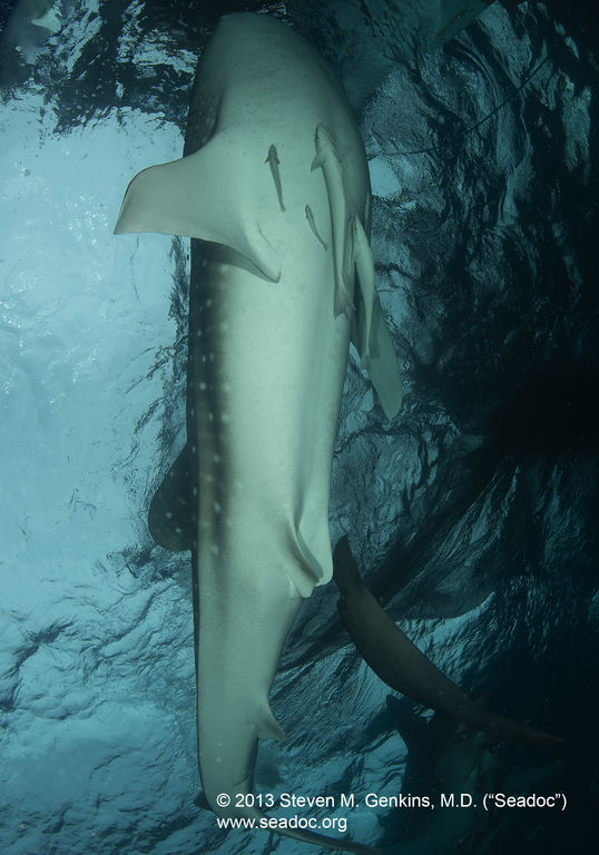 664c370c-d517-415b-815c-dd371232b478