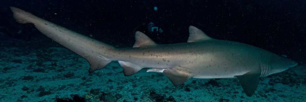 9ab21e8a-633a-4bf4-8a5e-c13319e97c2b