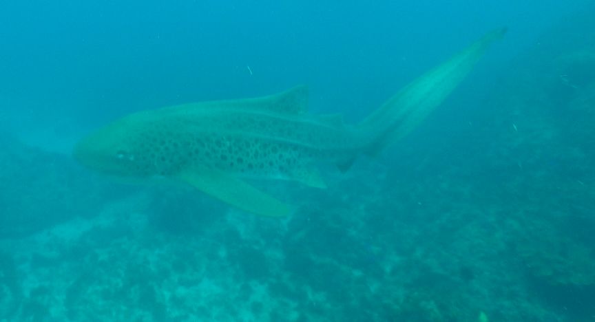 411dba64-e6ef-40b2-abfd-98569705f102