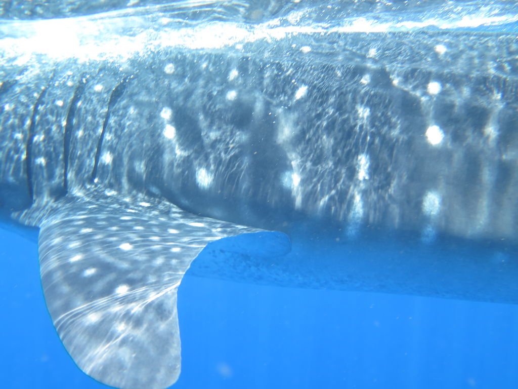 3e7024e9-0141-4d5c-ab77-e4f090b9d791