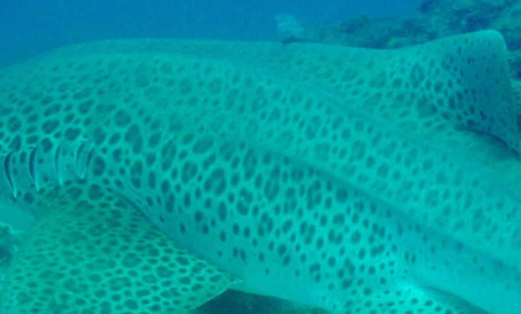 3e181a79-0951-43dc-bc76-26789fc290bb