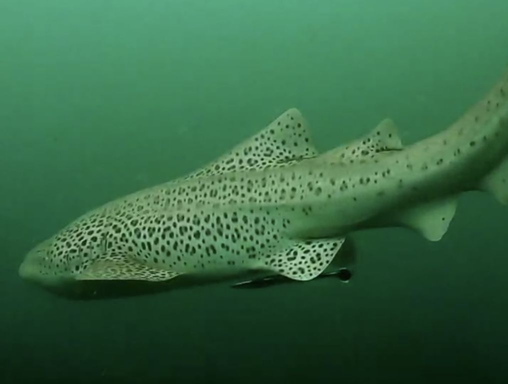 66f6fd12-ff47-421c-8e7b-0783771bec19