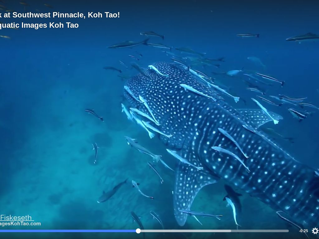 2a0aedde-cbeb-460f-a993-cd0669255d10