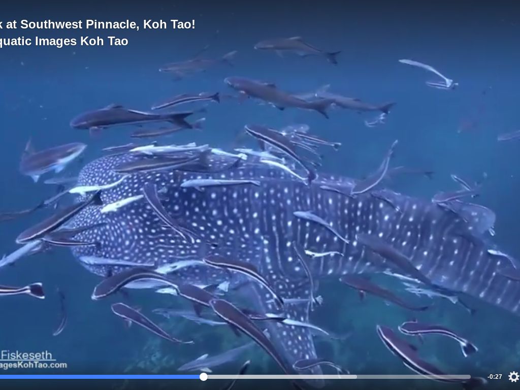 2a0aedde-cbeb-460f-a993-cd0669255d10