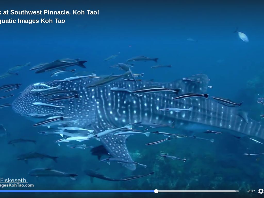 2a0aedde-cbeb-460f-a993-cd0669255d10