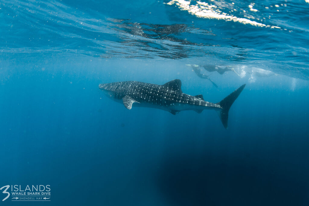 a029e171-9985-4673-8647-2503e1cf0870