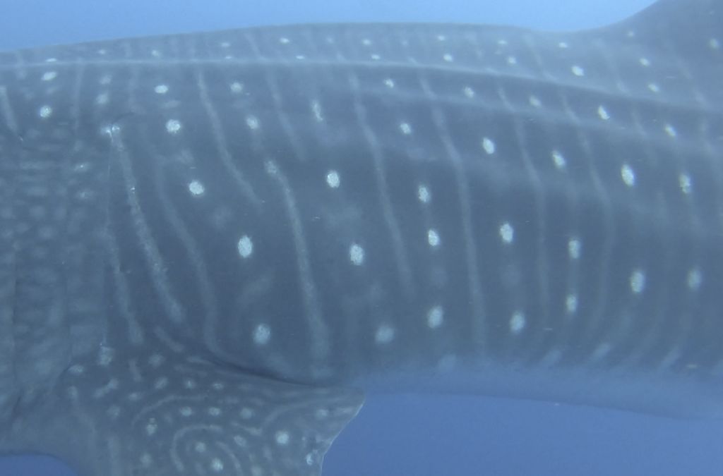 239f7753-fead-4f5d-b29e-697f480516c4