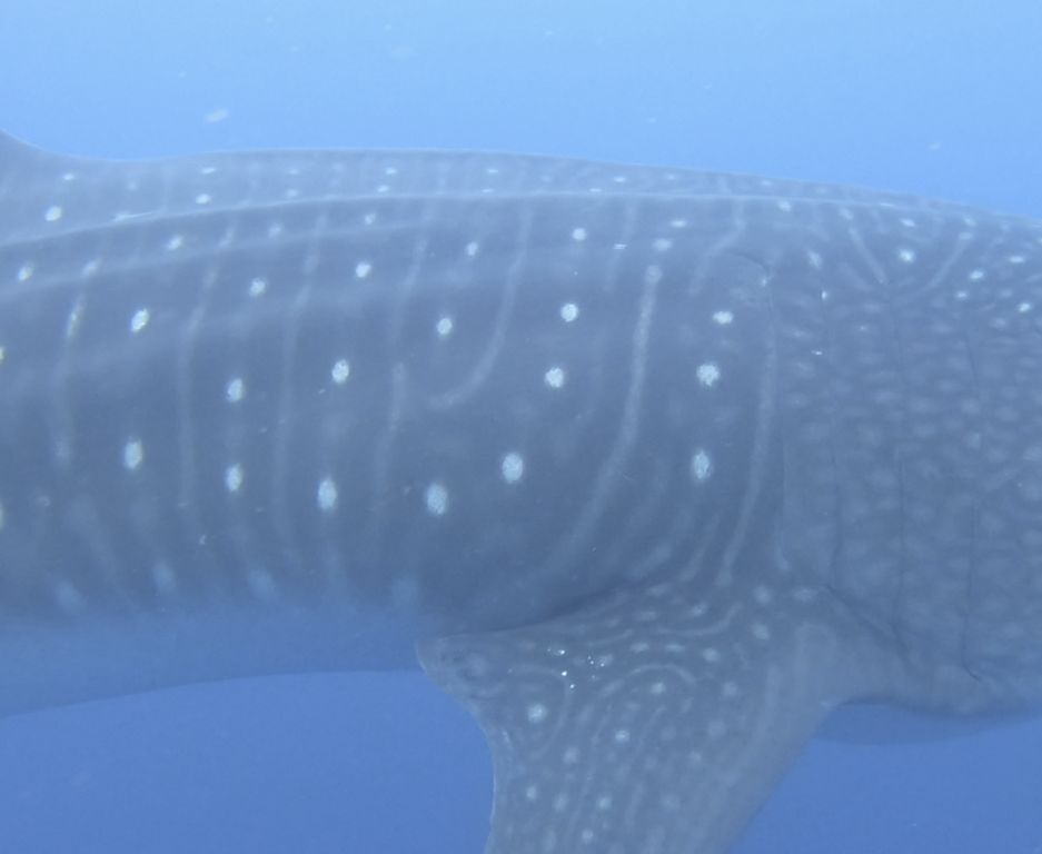 239f7753-fead-4f5d-b29e-697f480516c4