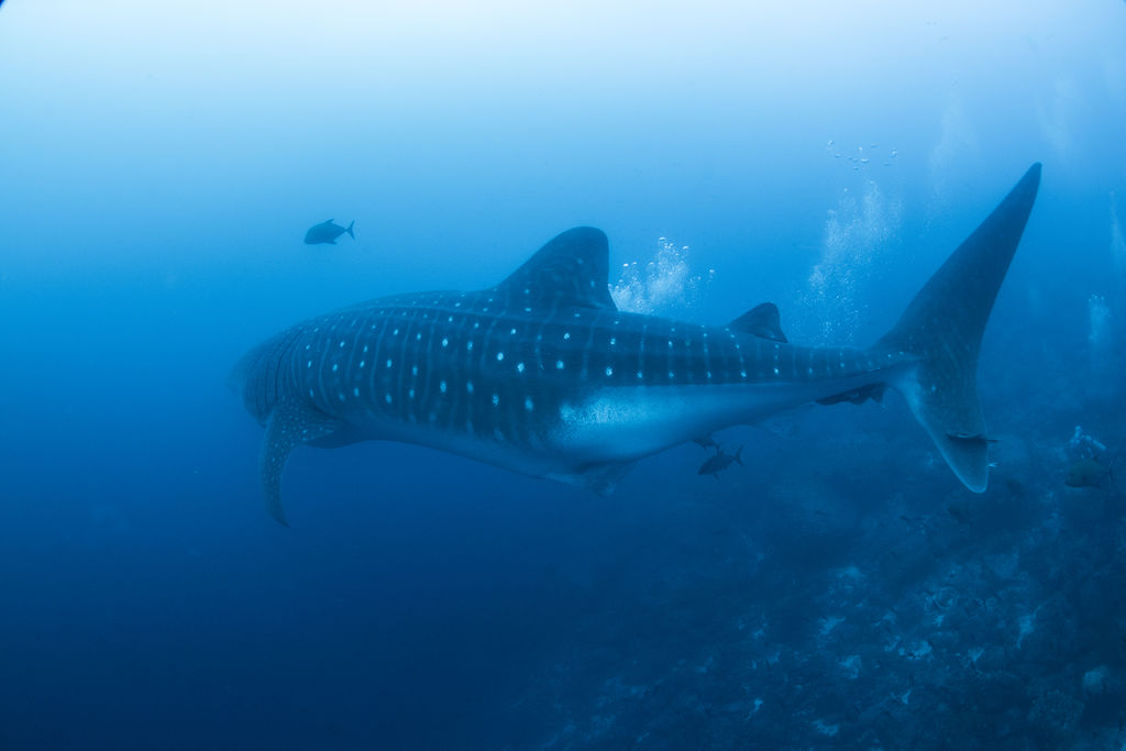 239f7753-fead-4f5d-b29e-697f480516c4