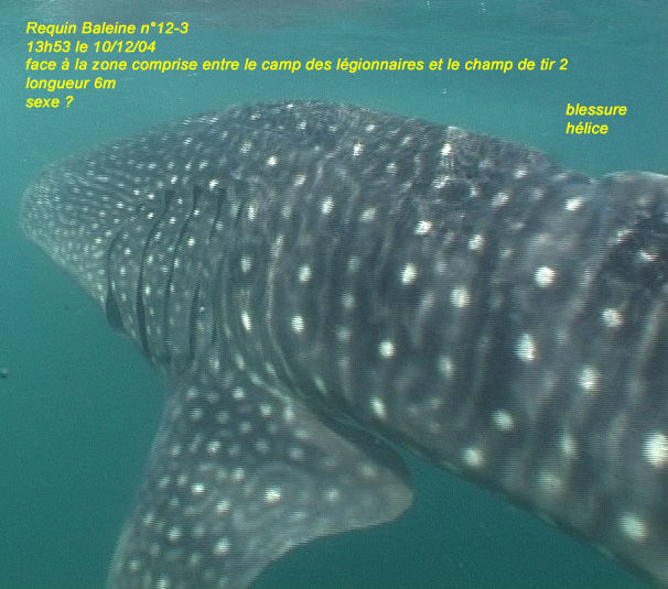 14a1c8c0-3375-47bf-afad-a793070d00fc