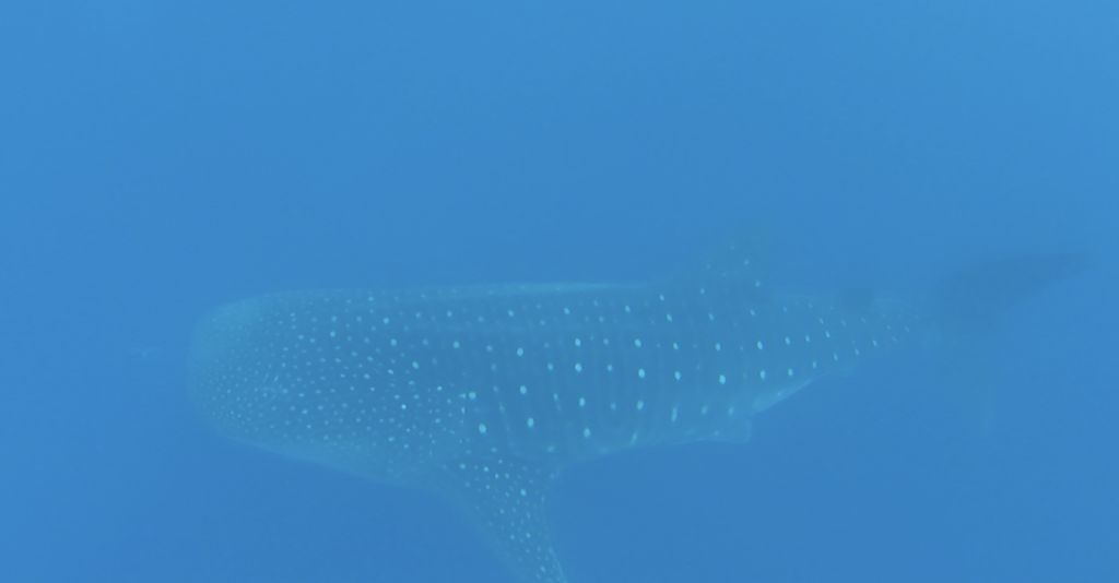 a9a9647b-8a6f-4b05-b263-0c9ba560d42e