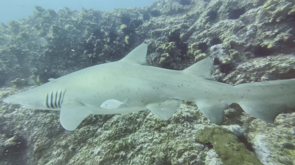 d56fb99c-880b-4690-a4df-ce15ce4ba4c6