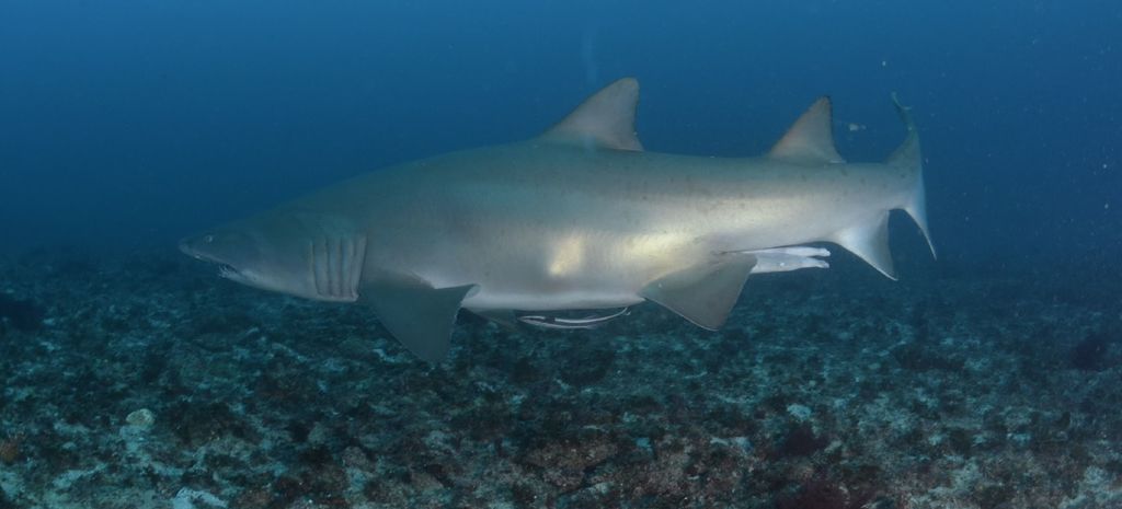 afe099b6-fc29-4b2e-836e-d39ee8e48323