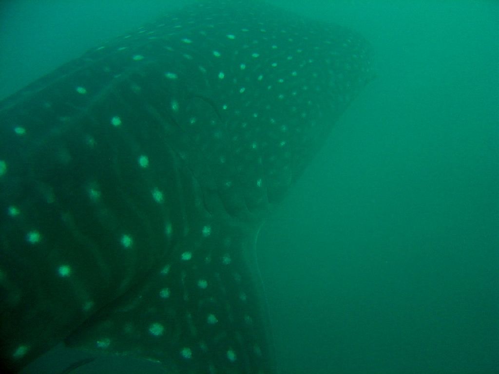 e94a49ad-a7c6-4363-b2cd-7de324ad1b6e