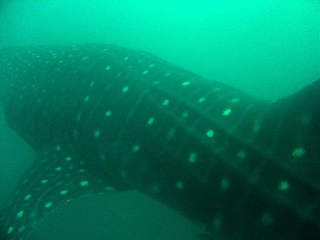 e94a49ad-a7c6-4363-b2cd-7de324ad1b6e