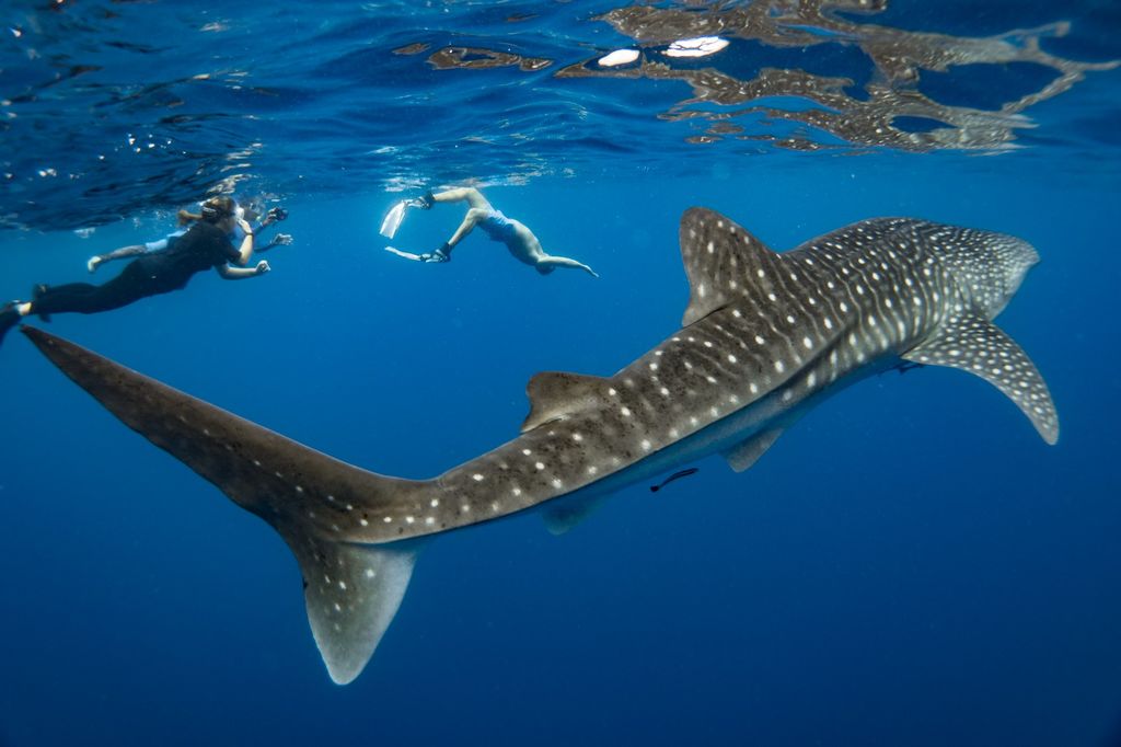 9d85c4ab-efc1-44b6-a803-296574198d4e