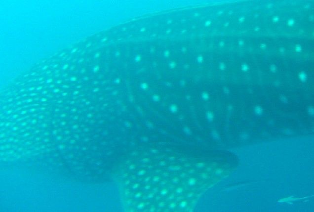 7eabfe2d-7fac-4a3c-96a7-3e5b47657e40