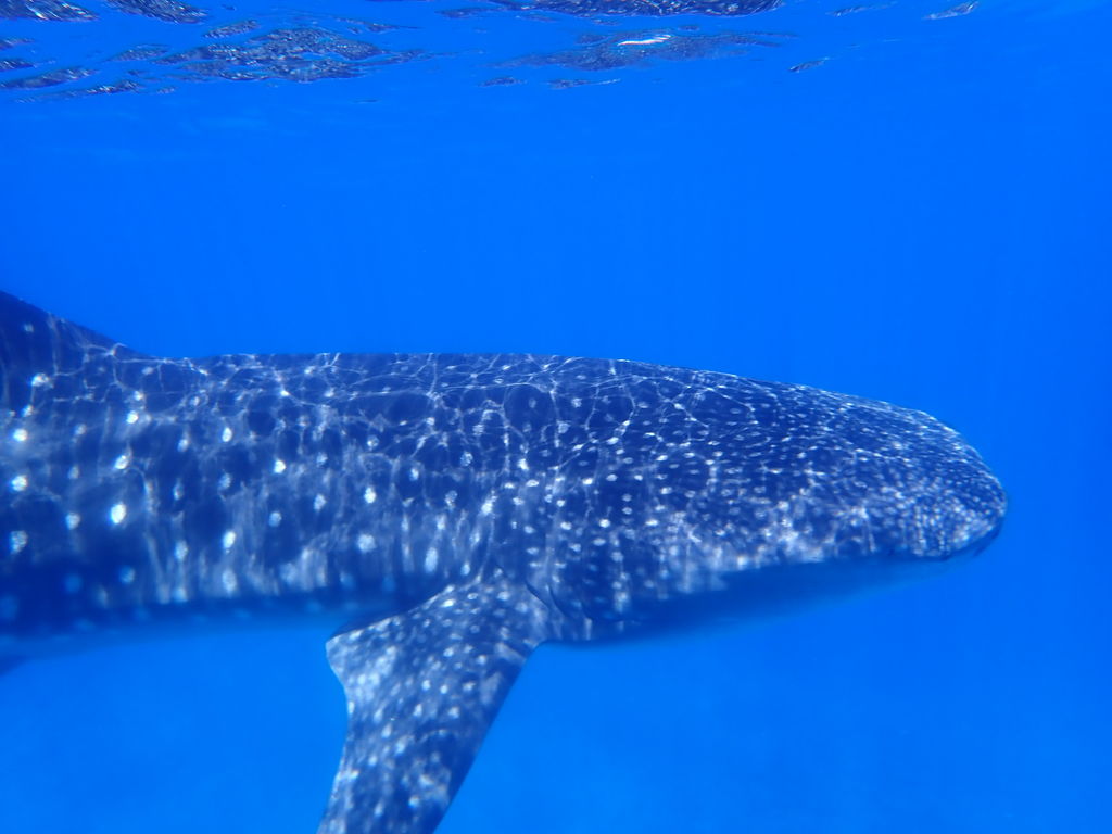 b28f2866-d3cb-4744-b24e-00e39a56e992