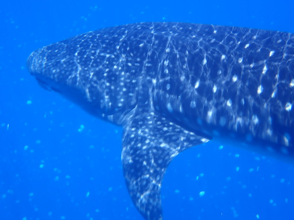 b28f2866-d3cb-4744-b24e-00e39a56e992