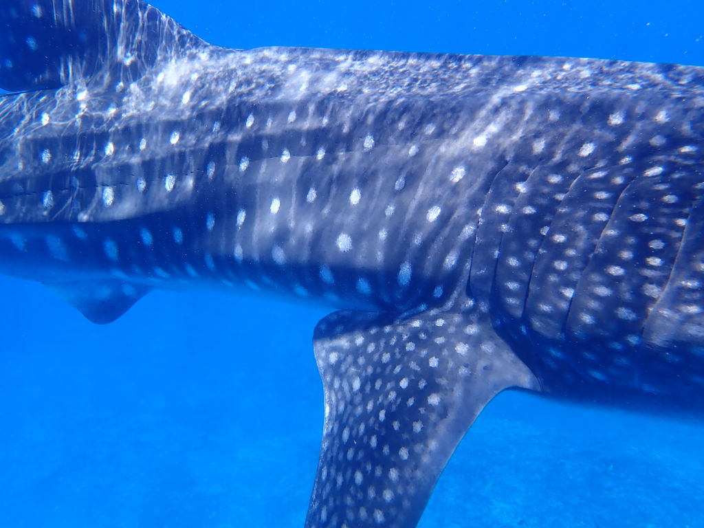 b28f2866-d3cb-4744-b24e-00e39a56e992