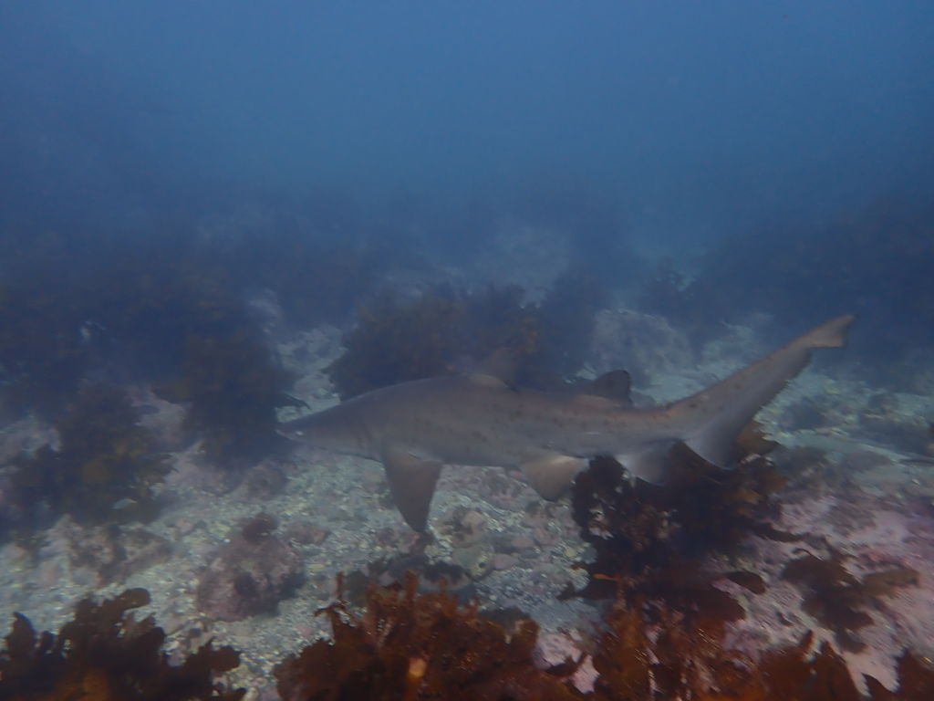 e240a332-5198-48c7-9a95-f5a84b40d058