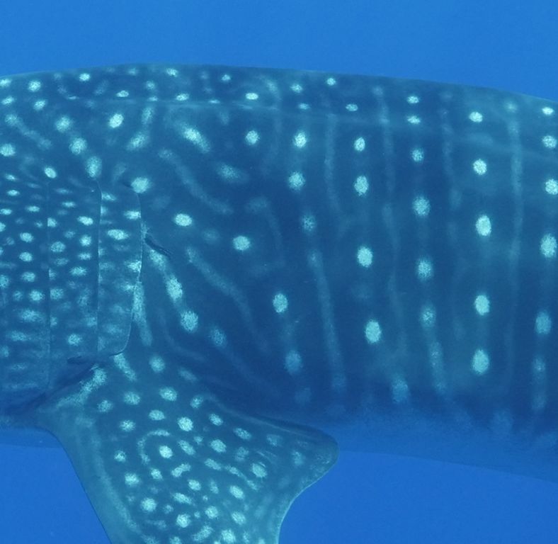 7344d7a0-8df7-4da5-a4eb-5da797e90b5b