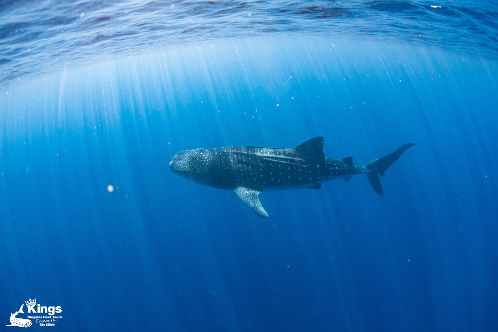 4d7d5b6a-b17b-4842-93f1-19c08306ea04