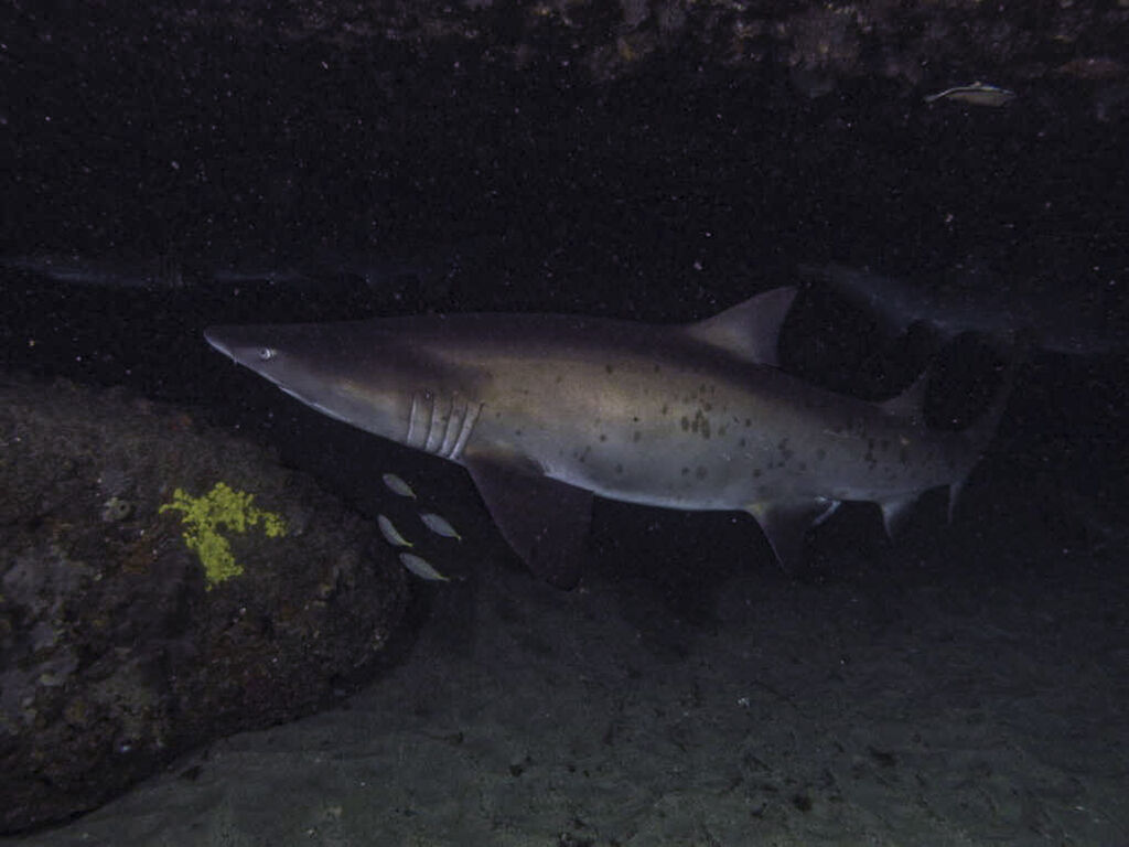 c1dcd73a-a8cd-495e-b5a2-40e0cbbc9307