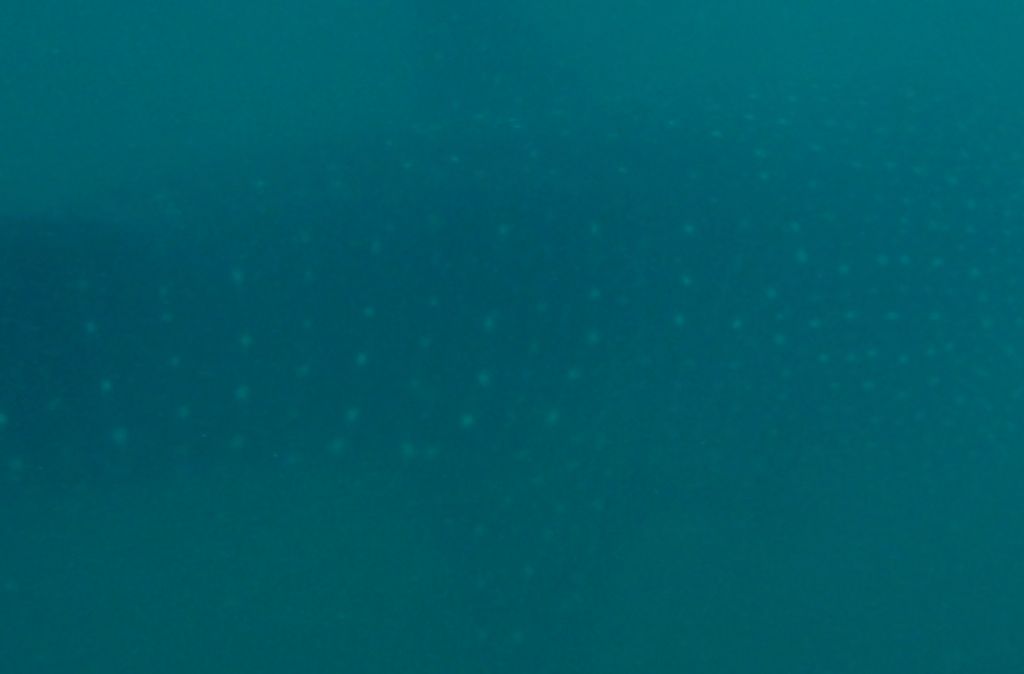 c90ed4bd-b368-4526-b9a5-6431d5bcd7b4