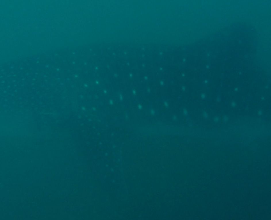 c90ed4bd-b368-4526-b9a5-6431d5bcd7b4