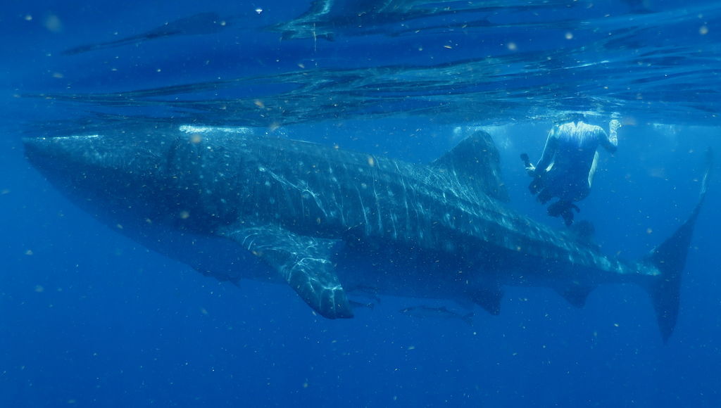 a6df80b9-c239-4bf8-a4c1-1a86412a1d1c